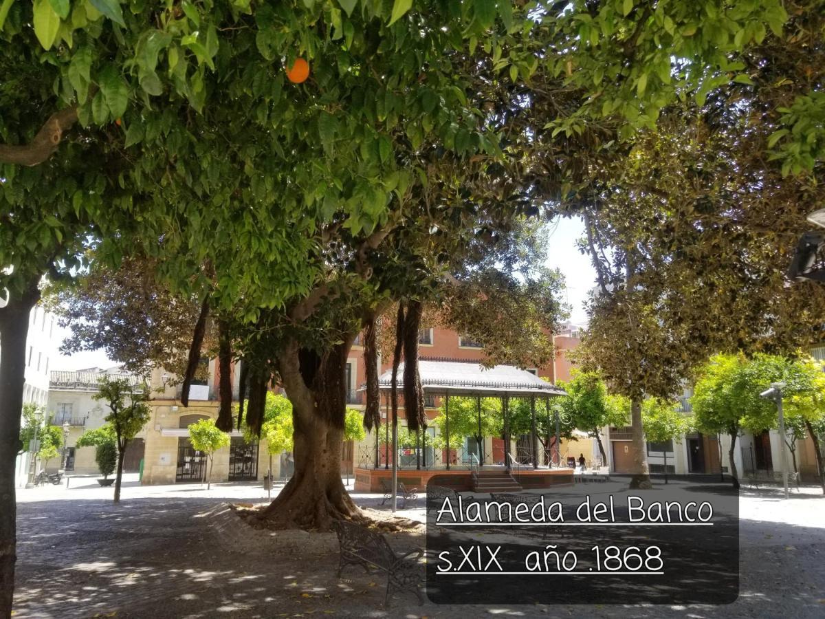 Jerez Centro Historico Apartment Jerez de la Frontera Ngoại thất bức ảnh